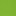 Orchid Green/Lime